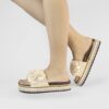 CK253 Beige