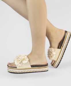 CK253 Beige