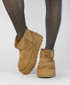 FS079 Camel