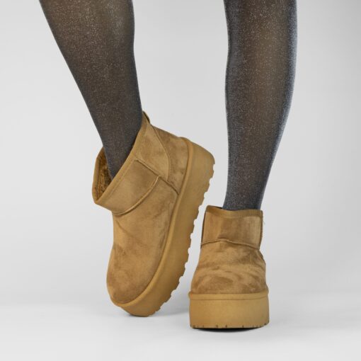 FS079 Camel