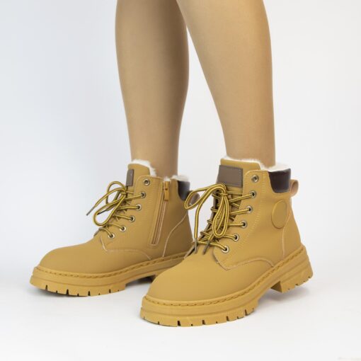 LT321-3 Camel