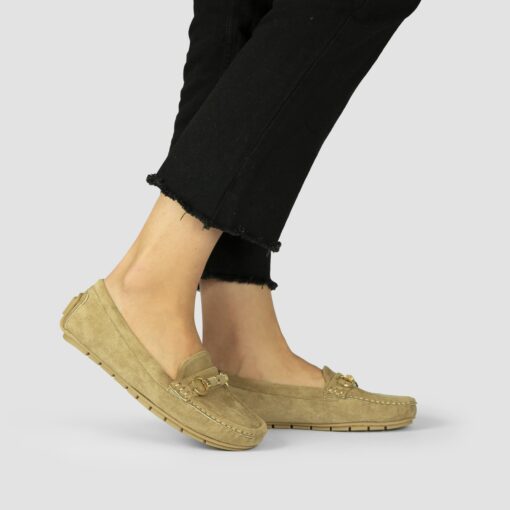 CD004 Camel