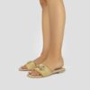 Ry13 Camel