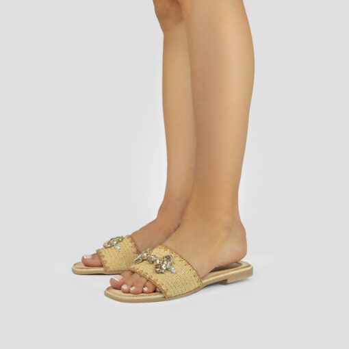 Ry13 Camel