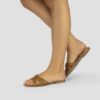 W-172 Camel