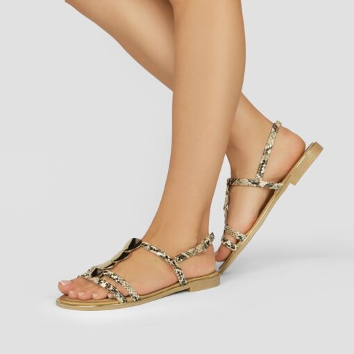 CK283 Camel