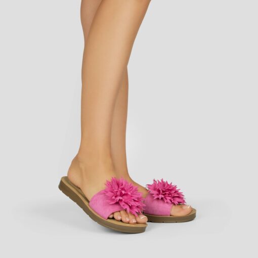 CK288 Fuchsia