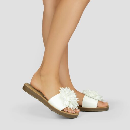 CK288 White
