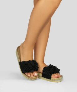 2331 Black