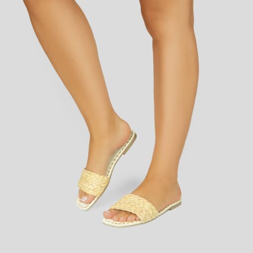 Bl22-58 Camel - Slika 2