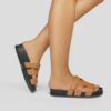 TH005 Camel