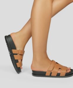 TH005 Camel