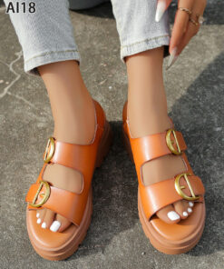 Alternative view of AL18 Camel