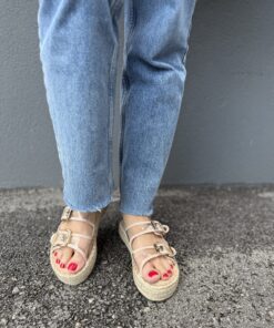 Alternative view of BO029 Transparent