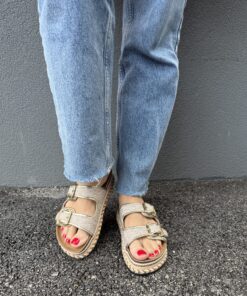 Alternative view of CR-73 Golden