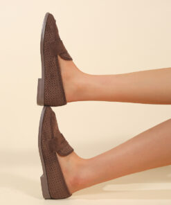 Alternative view of T655 Brown